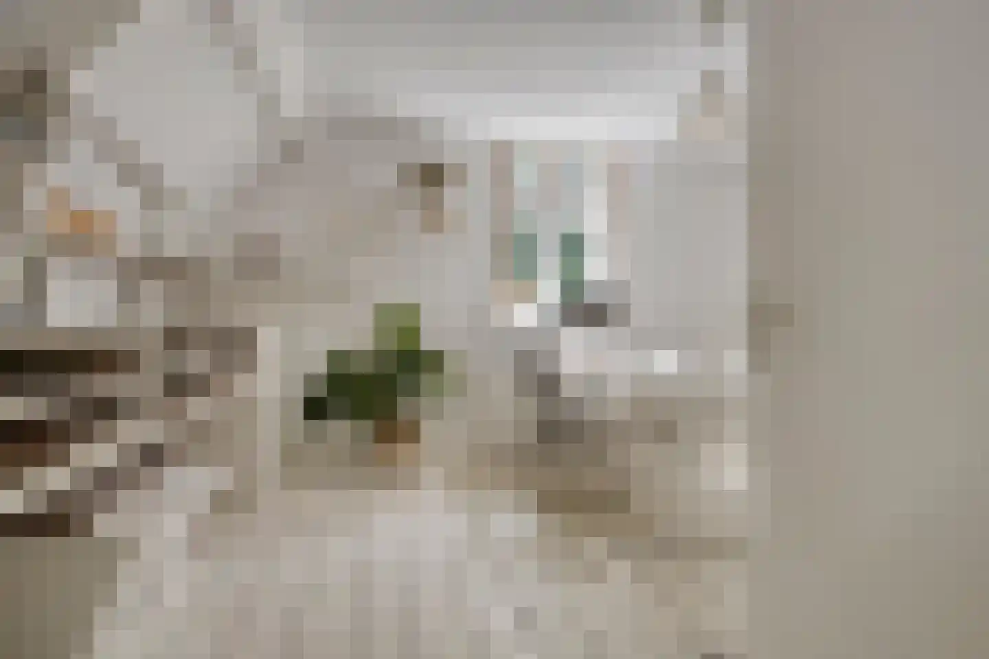 1e Ebbingestraat 39 I Kampen thumbnail 27