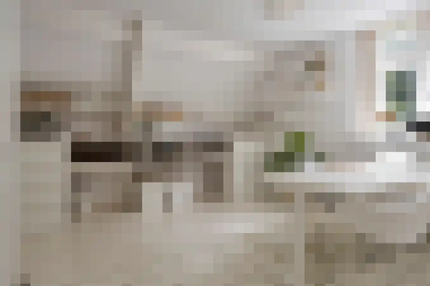 1e Ebbingestraat 39 I Kampen thumbnail 30
