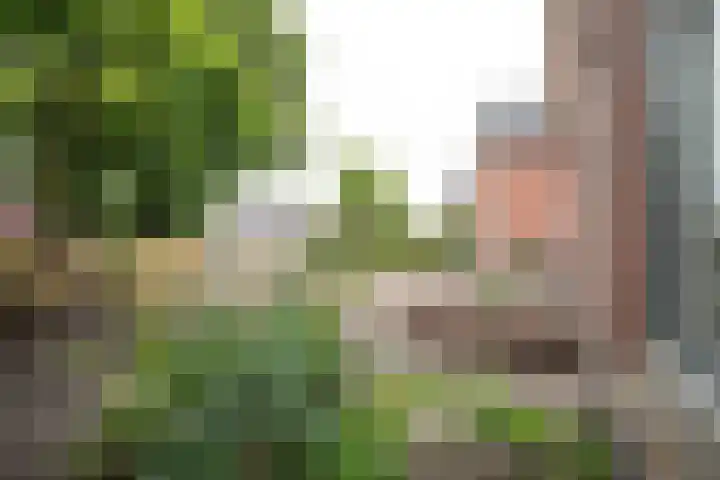 1e Esweg 43 Wierden thumbnail 10