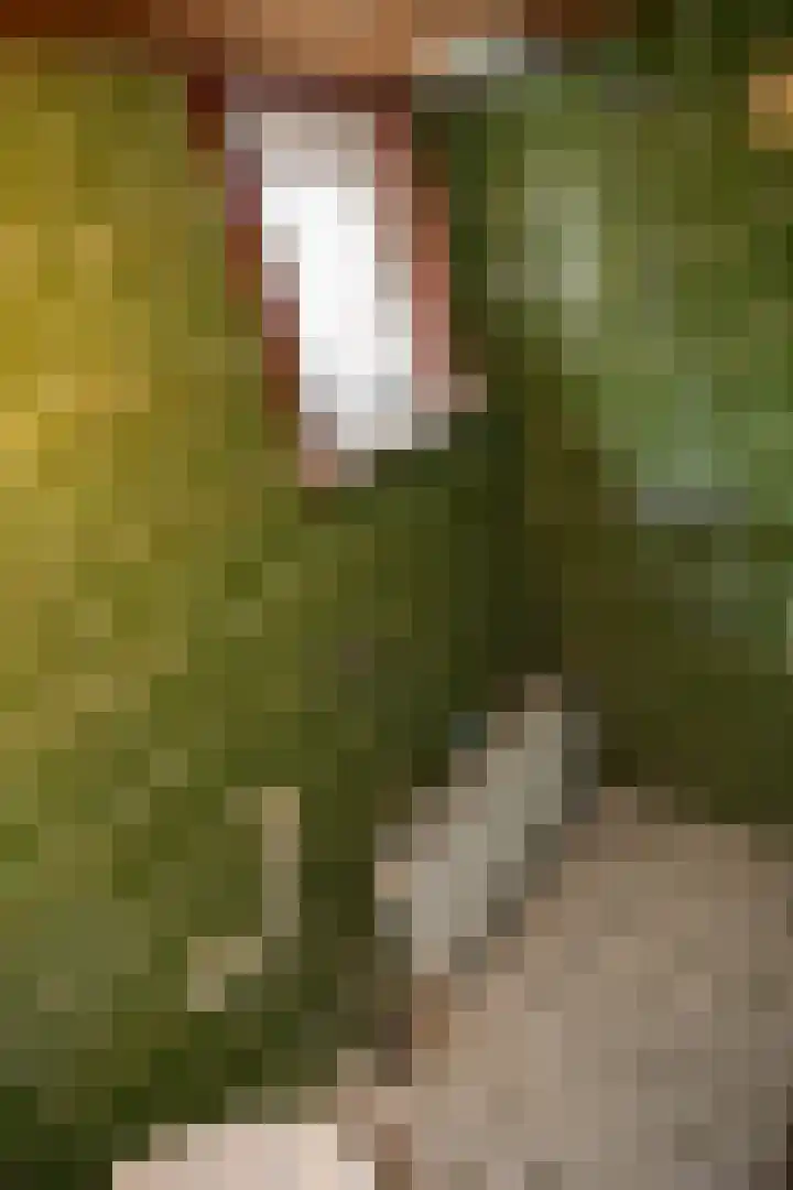 1e Esweg 43 Wierden thumbnail 30