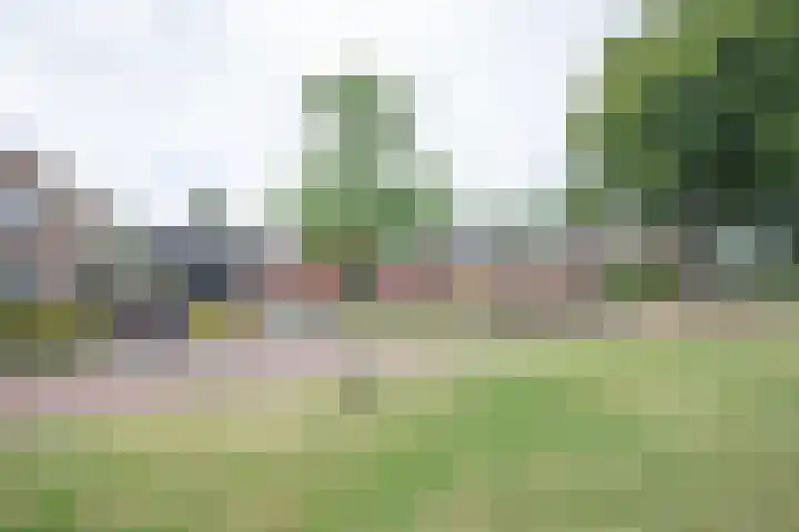 1e Esweg 43 Wierden thumbnail 67