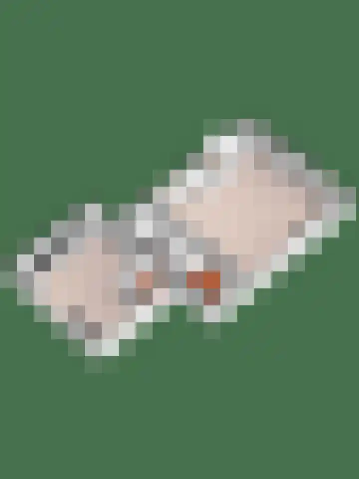 1e Esweg 43 Wierden thumbnail 69