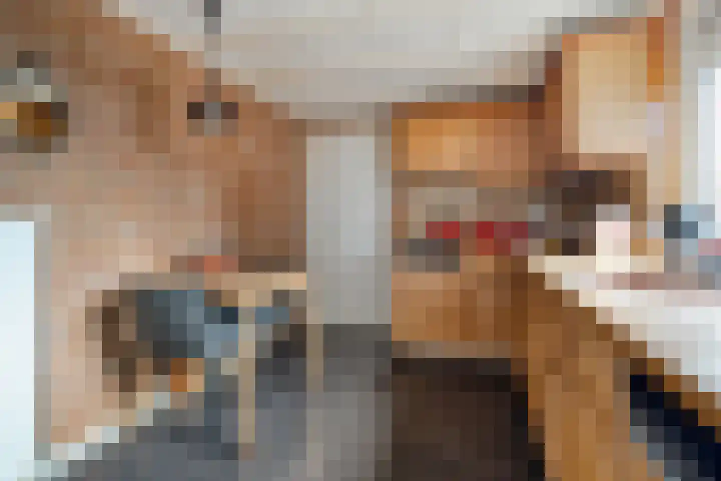 1e Esweg 96 Wierden thumbnail 10