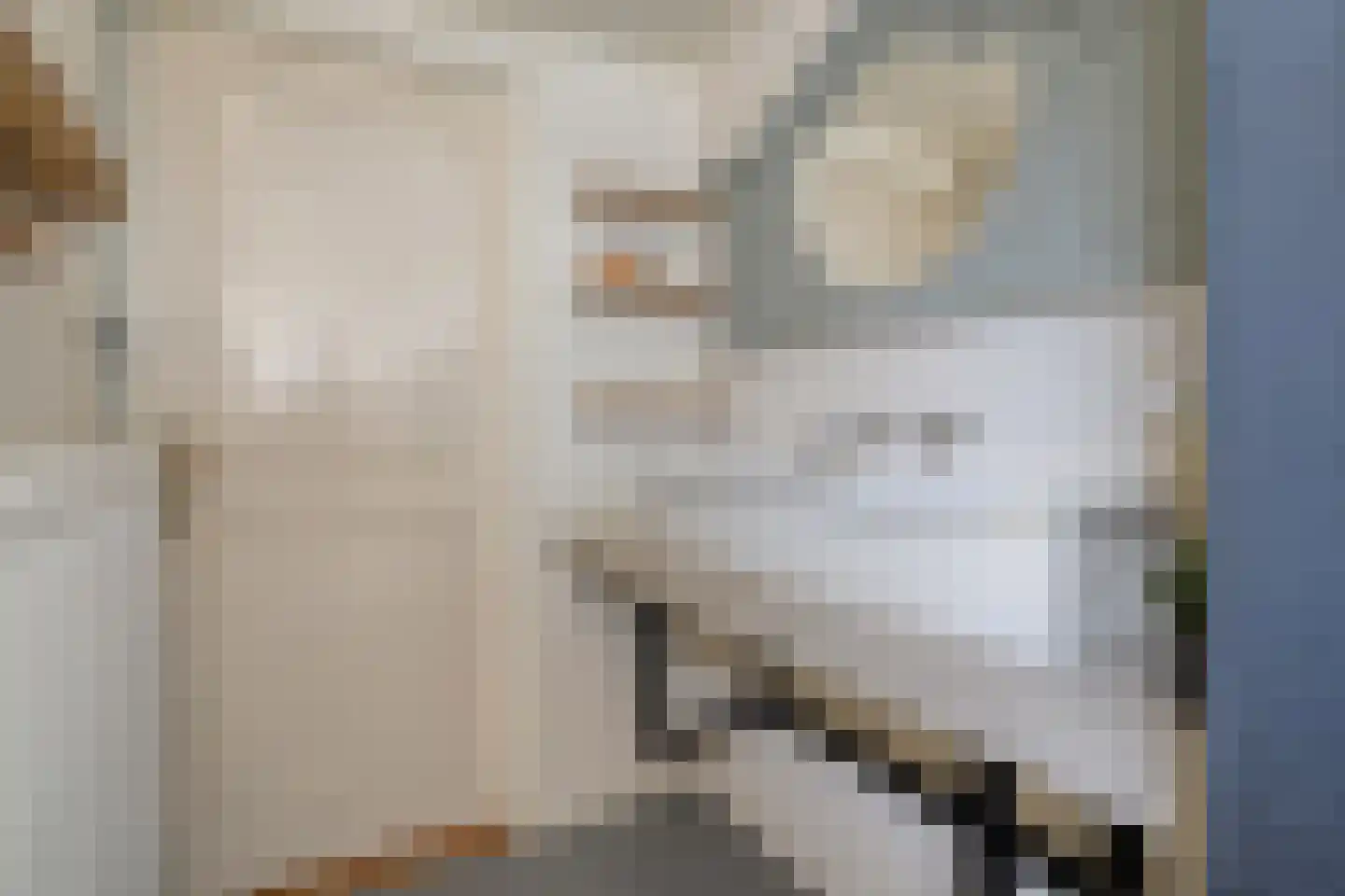 1e Esweg 96 Wierden thumbnail 14