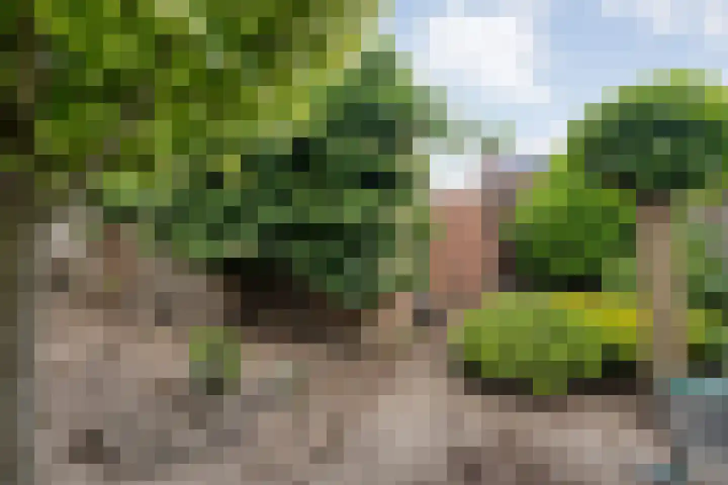 1e Esweg 96 Wierden thumbnail 32