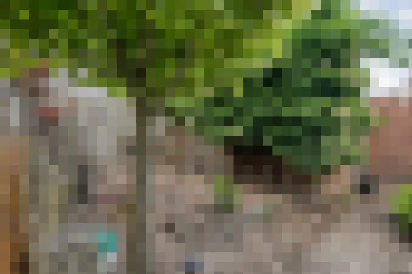 1e Esweg 96 Wierden thumbnail 33