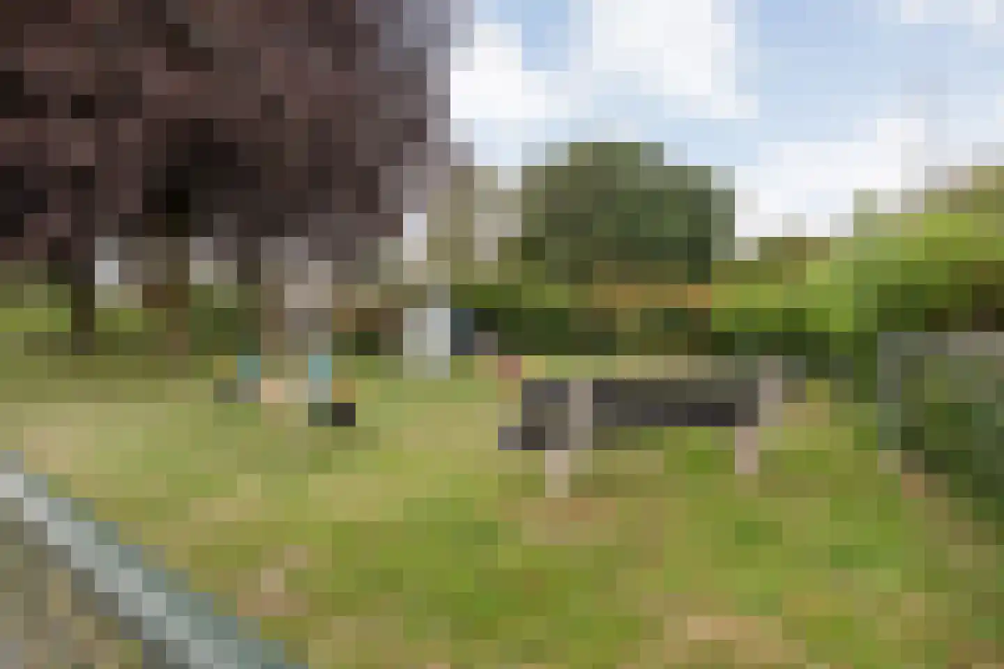1e Esweg 96 Wierden thumbnail 36