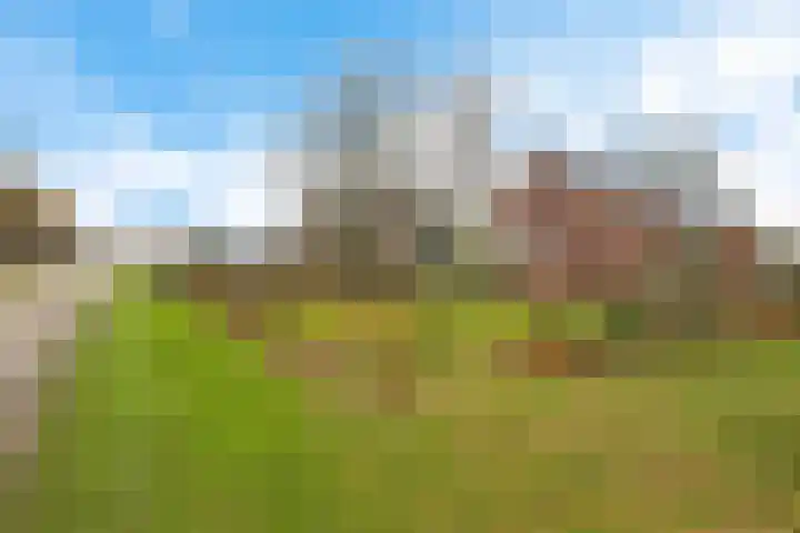 1e Exloërmond 113 1e Exloërmond thumbnail 23