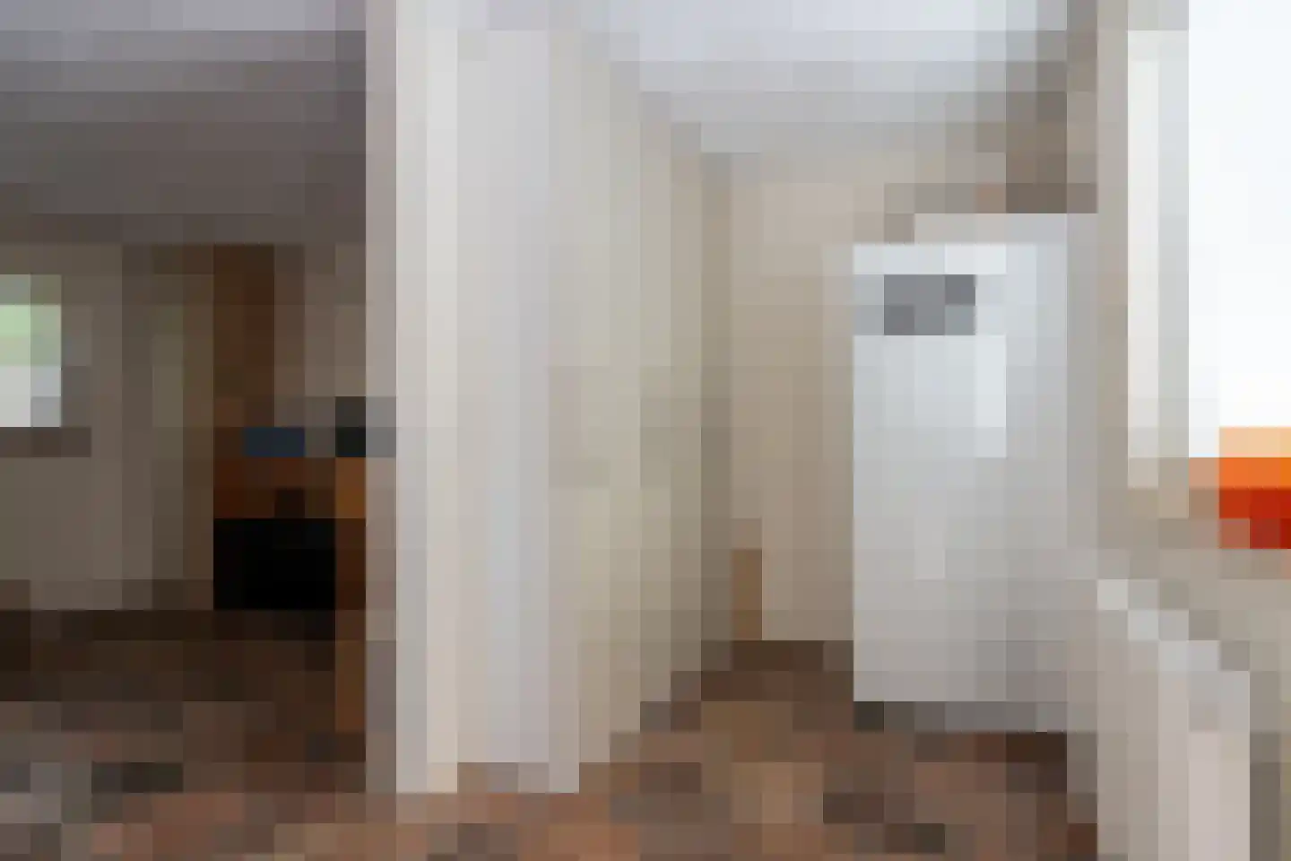 1e Exloërmond 74 E 1e Exloërmond thumbnail 25