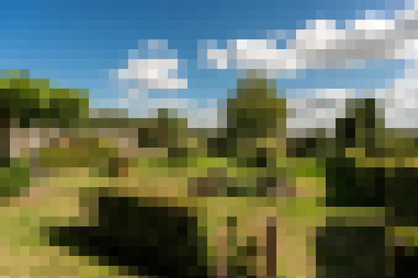 1e Exloërmond 74 E 1e Exloërmond thumbnail 48