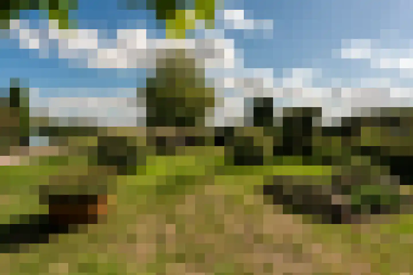 1e Exloërmond 74 E 1e Exloërmond thumbnail 49