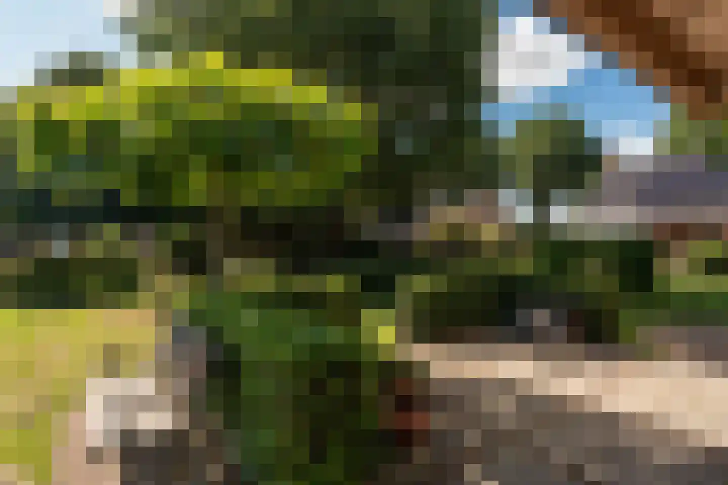 1e Exloërmond 74 E 1e Exloërmond thumbnail 50