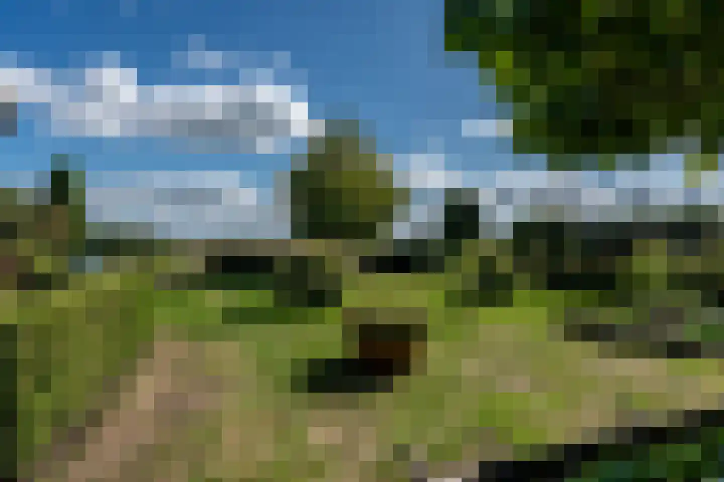 1e Exloërmond 74 E 1e Exloërmond thumbnail 51