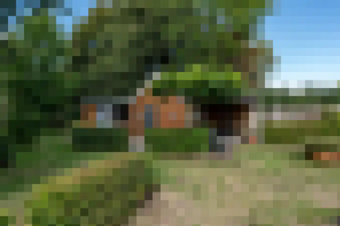 1e Exloërmond 74 E 1e Exloërmond thumbnail 52