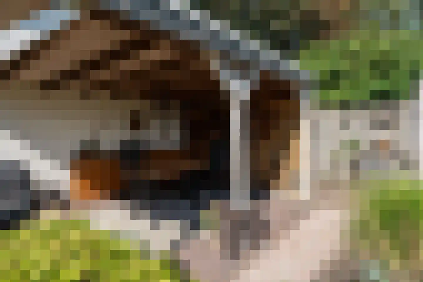 1e Exloërmond 74 E 1e Exloërmond thumbnail 53