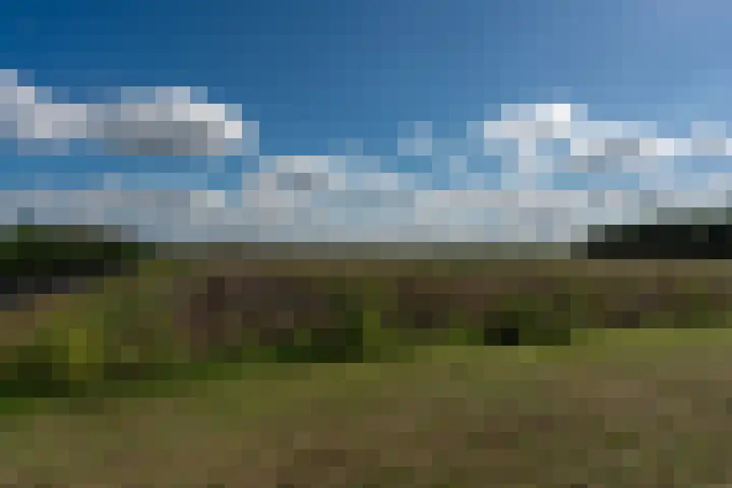 1e Exloërmond 74 E 1e Exloërmond thumbnail 55