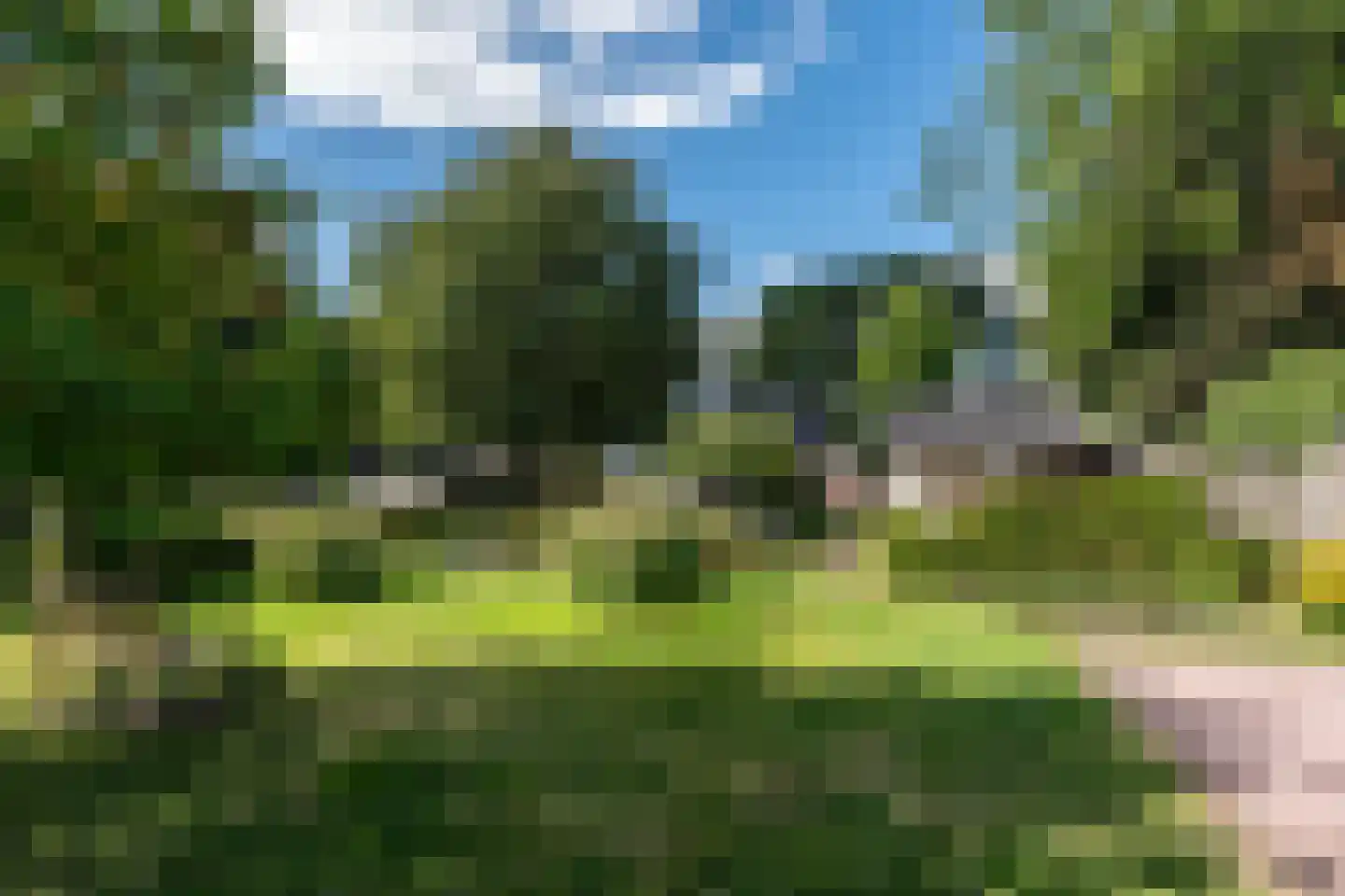 1e Exloërmond 74 E 1e Exloërmond thumbnail 56
