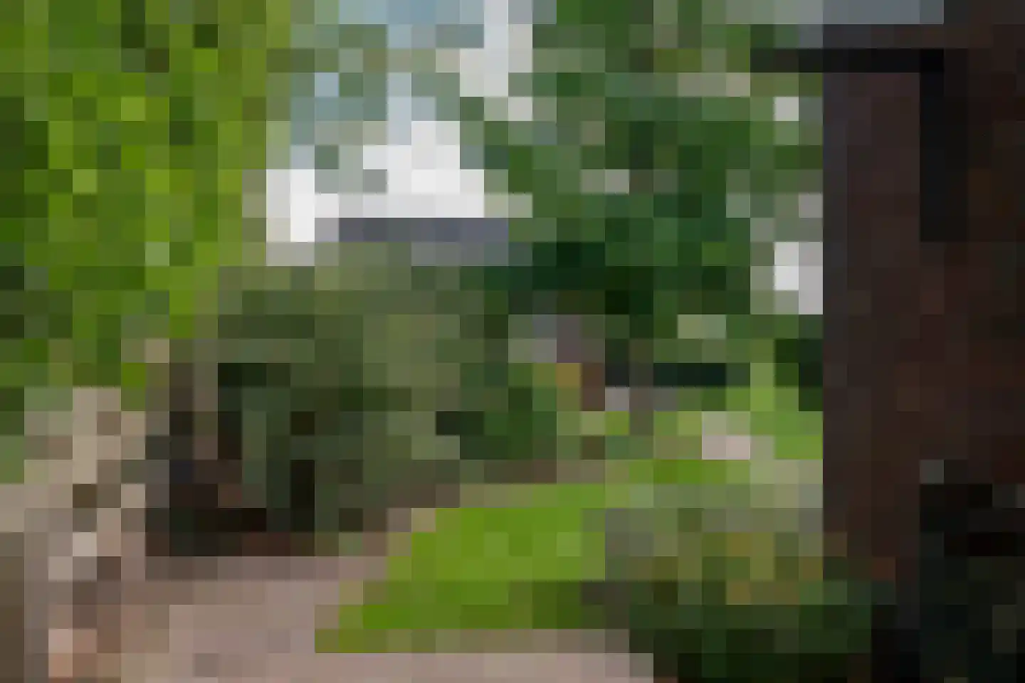 1e Exloërmond 74 E 1e Exloërmond thumbnail 63