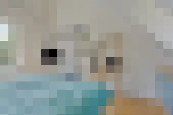 1e Franklinstraat 1 Eindhoven thumbnail 27