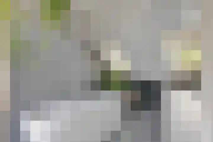 1e Franklinstraat 1 Eindhoven thumbnail 29