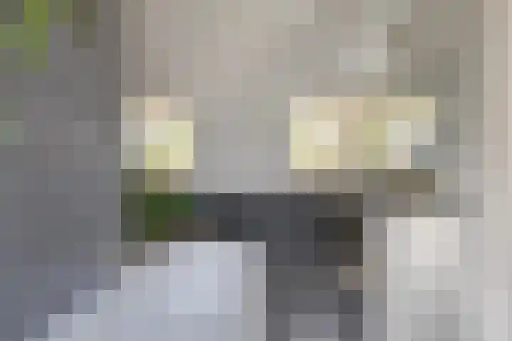 1e Franklinstraat 1 Eindhoven thumbnail 31