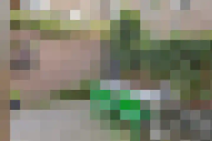 1e Franklinstraat 1 Eindhoven thumbnail 34
