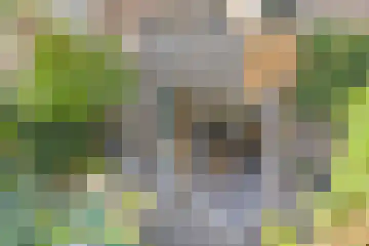 1e Franklinstraat 1 Eindhoven thumbnail 38