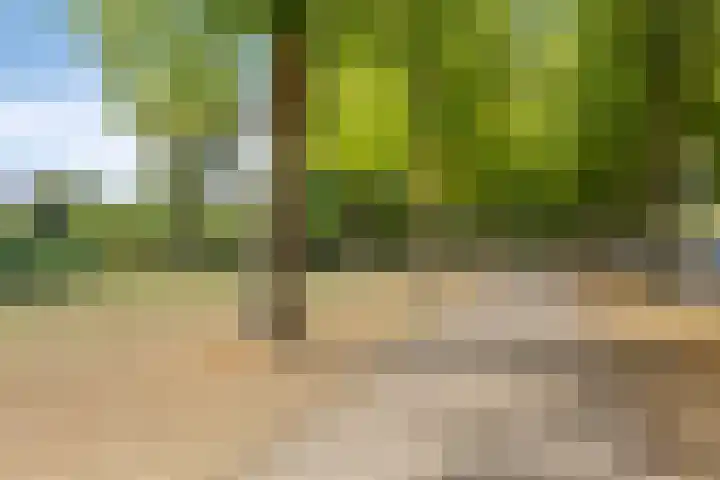 1e Franklinstraat 1 Eindhoven thumbnail 43