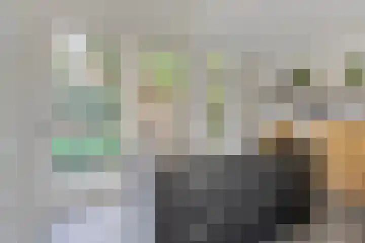1e Franklinstraat 1 Eindhoven thumbnail 8