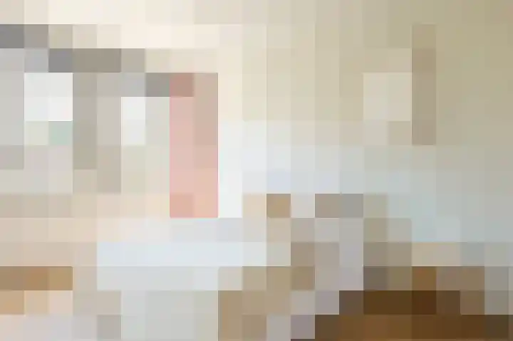 1e Franklinstraat 5 Eindhoven thumbnail 20