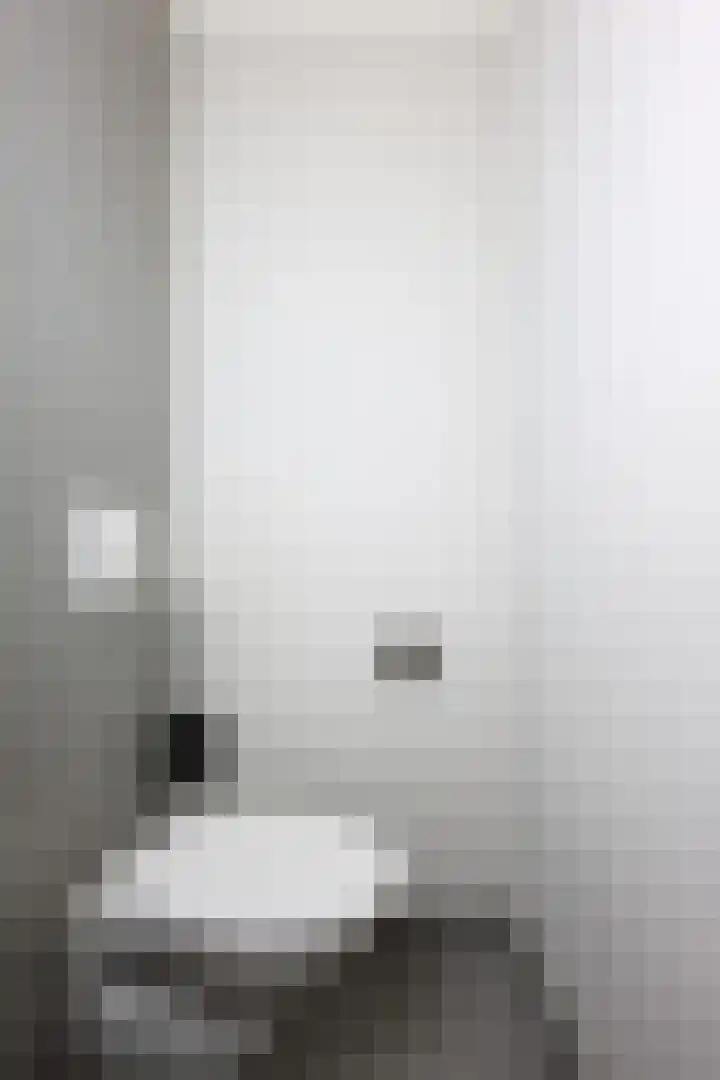 1e Franklinstraat 5 Eindhoven thumbnail 6