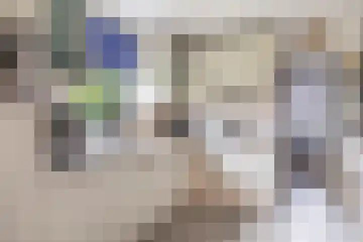 1e Garstelaan 5 B Westerlee thumbnail 10