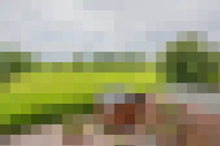 1e Garstelaan 5 B Westerlee thumbnail 17