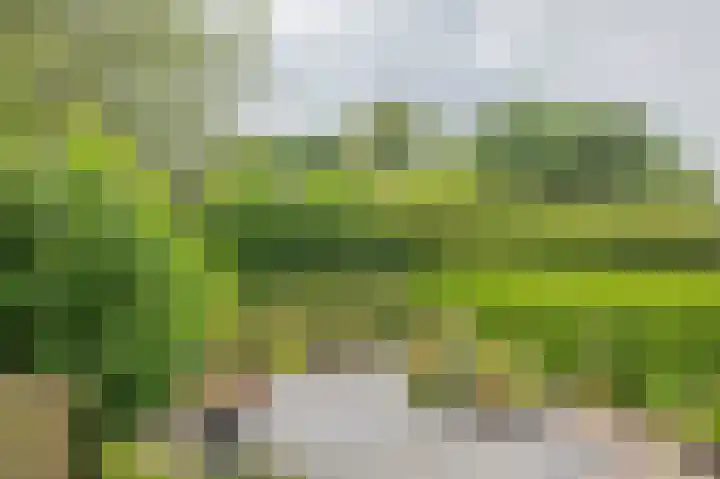 1e Garstelaan 5 B Westerlee thumbnail 29