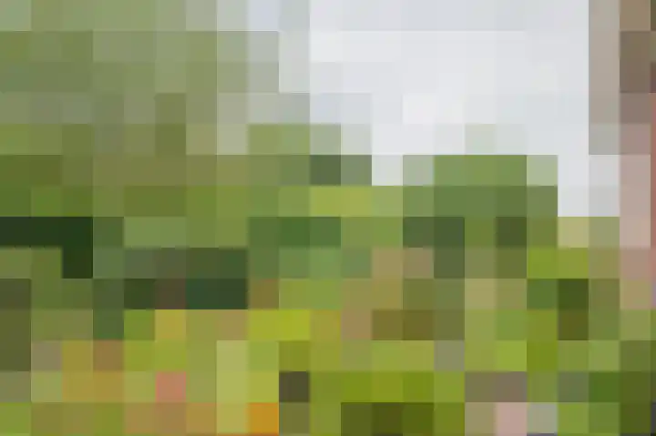 1e Garstelaan 5 B Westerlee thumbnail 31
