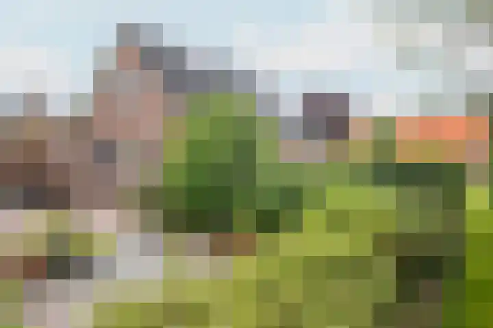 1e Garstelaan 5 B Westerlee thumbnail 32