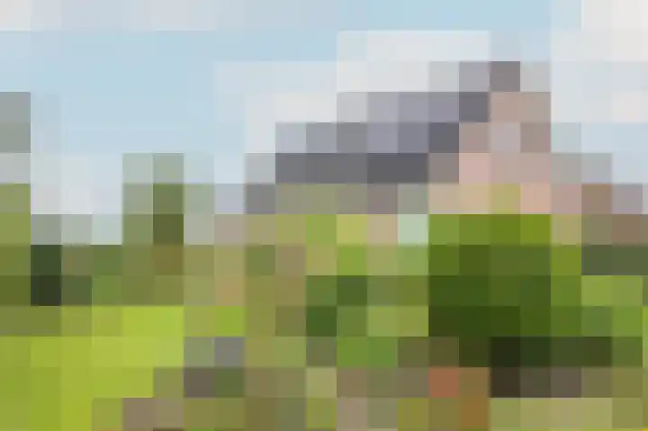 1e Garstelaan 5 B Westerlee thumbnail 33