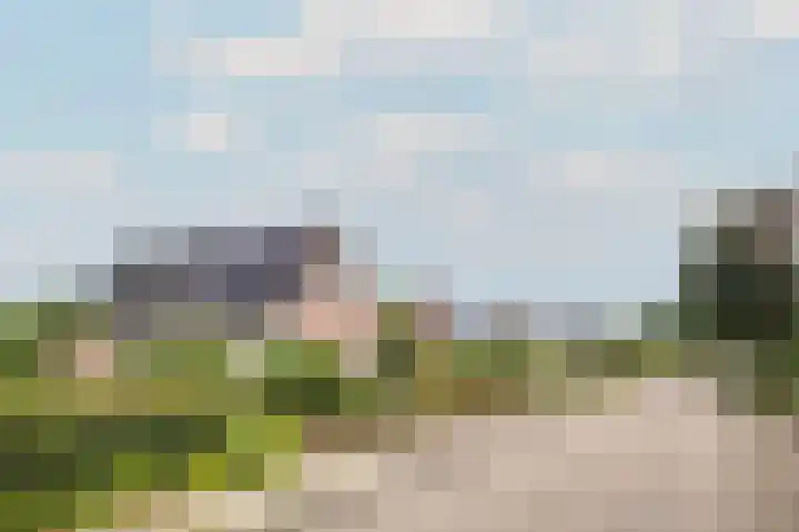 1e Garstelaan 5 B Westerlee thumbnail 35