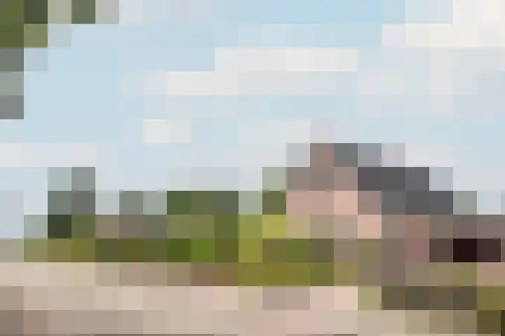 1e Garstelaan 5 B Westerlee thumbnail 36