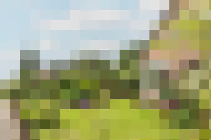 1e Garstelaan 5 B Westerlee thumbnail 38