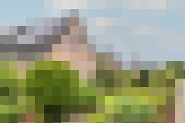 1e Garstelaan 5 B Westerlee thumbnail 40