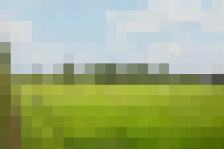 1e Garstelaan 5 B Westerlee thumbnail 43