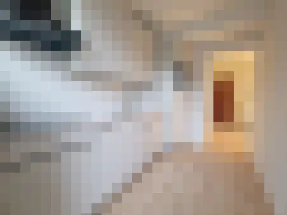 1e Goudsewagenhof 25 C Rotterdam thumbnail 5