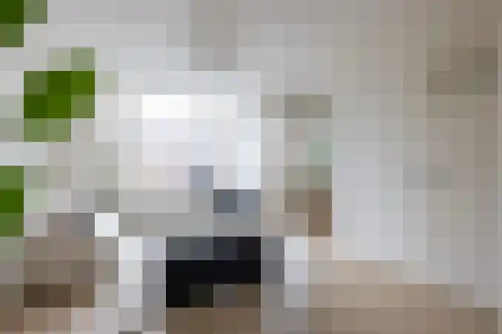 1e Goudsewagenhof 44 E Rotterdam thumbnail 7
