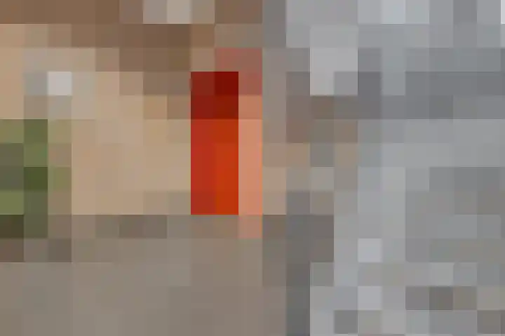 1e Graaf van Loonstraat 17 B Venlo thumbnail 6