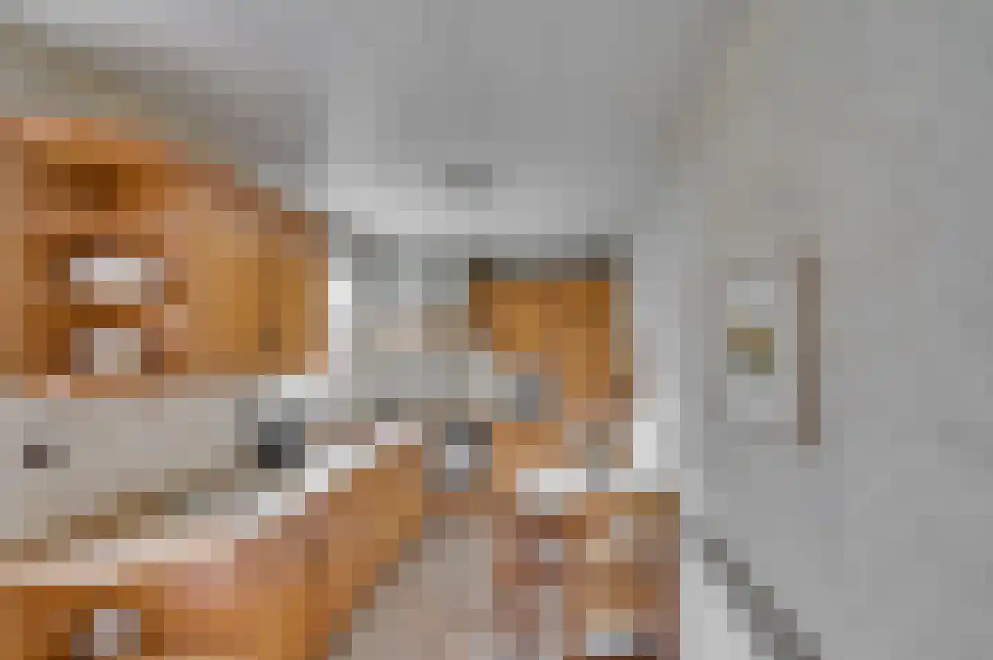 1e Graaf van Loonstraat 55 Venlo thumbnail 10