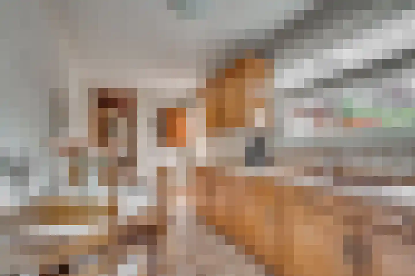 1e Graaf van Loonstraat 55 Venlo thumbnail 12