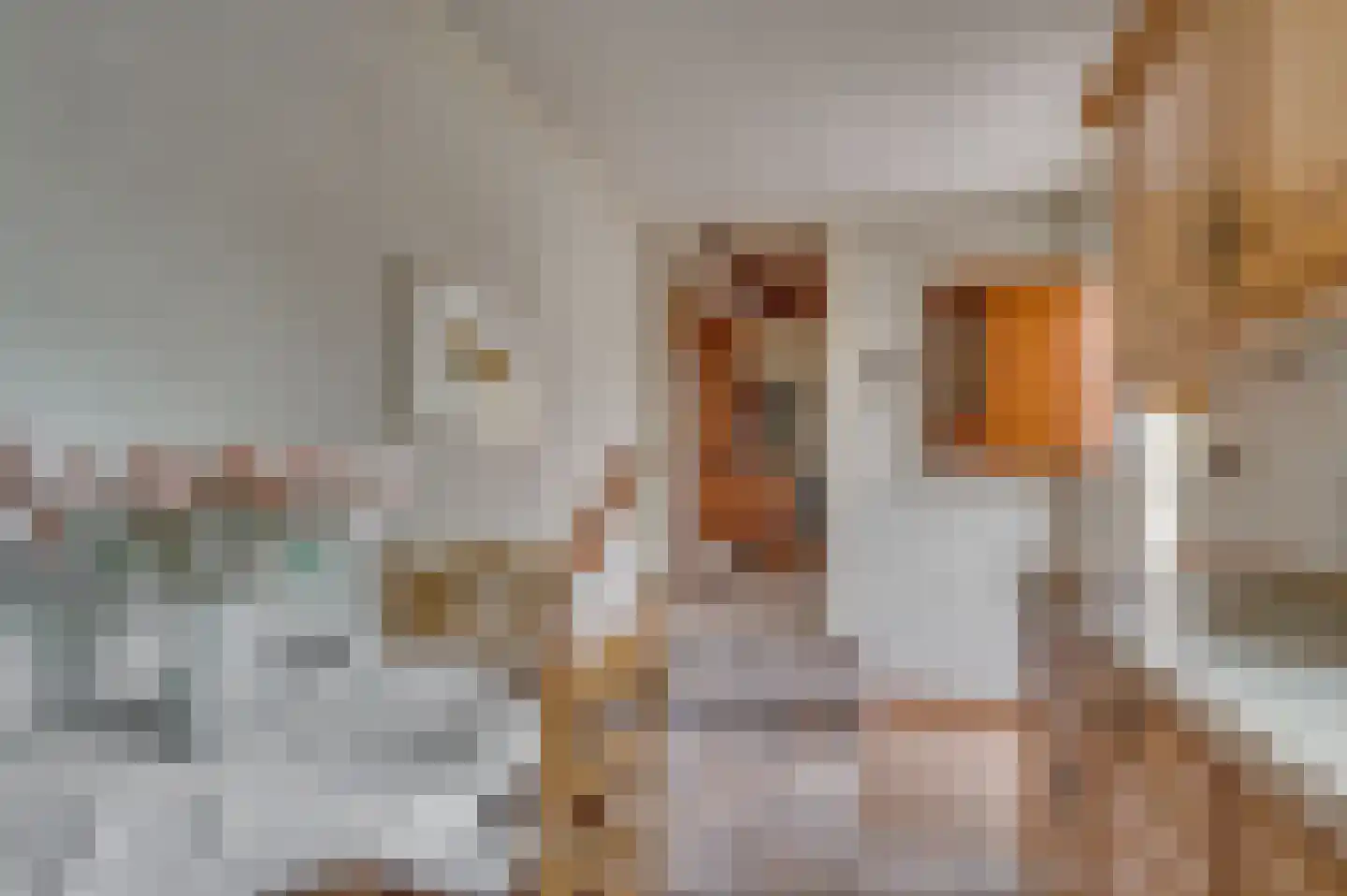 1e Graaf van Loonstraat 55 Venlo thumbnail 13