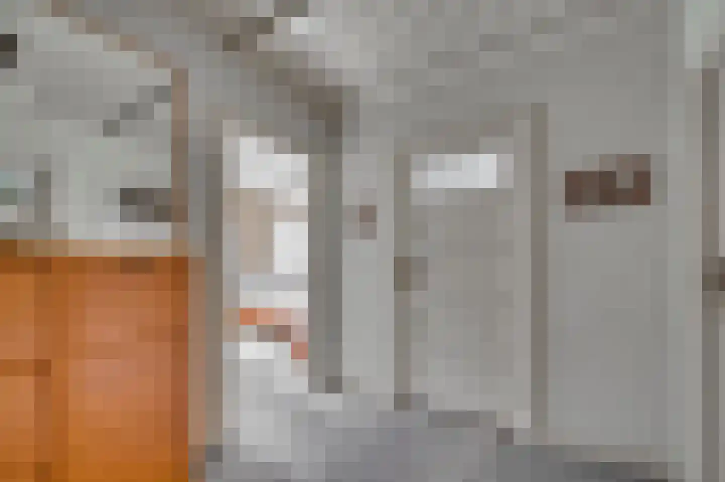 1e Graaf van Loonstraat 55 Venlo thumbnail 17