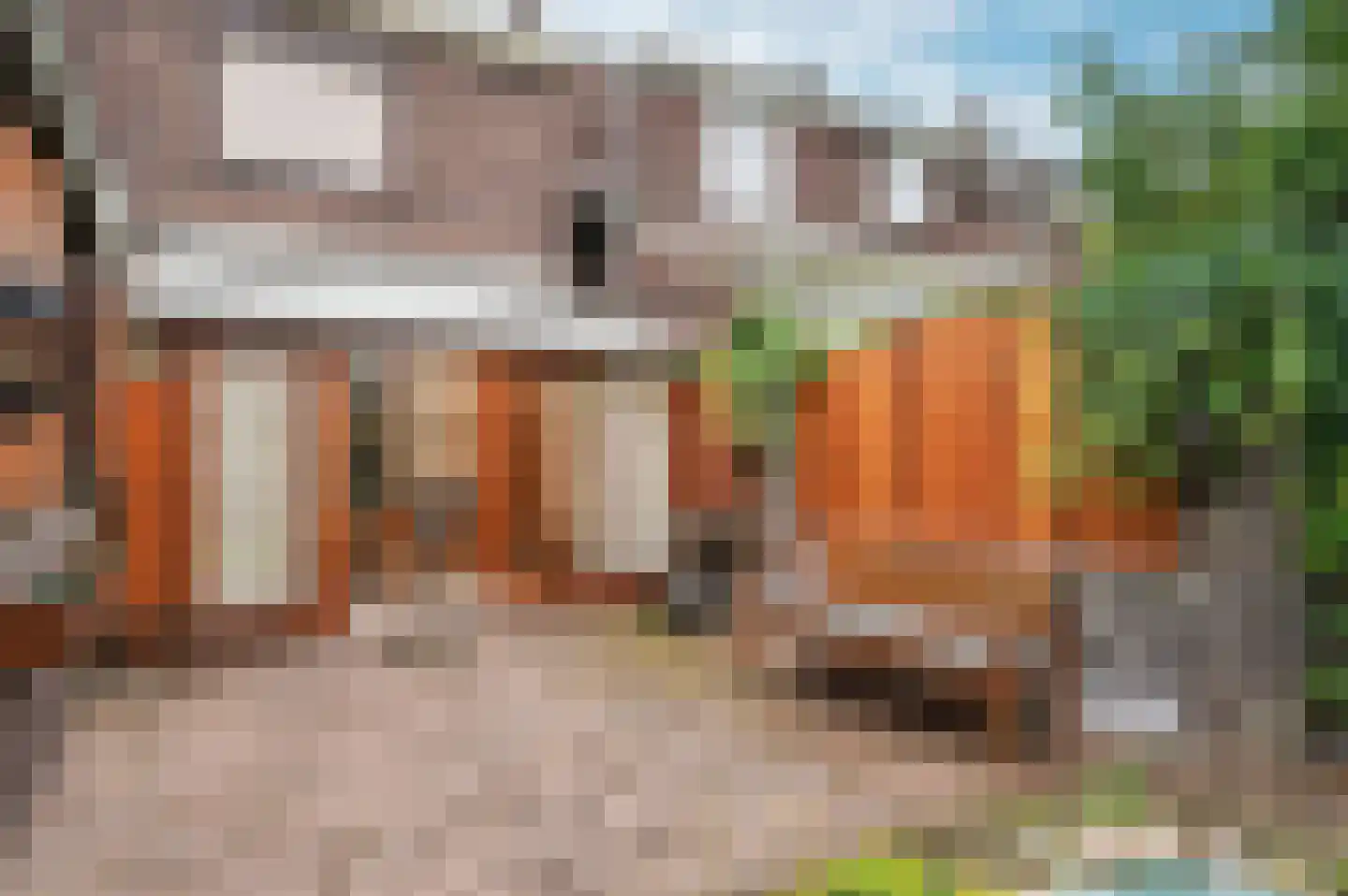 1e Graaf van Loonstraat 55 Venlo thumbnail 30